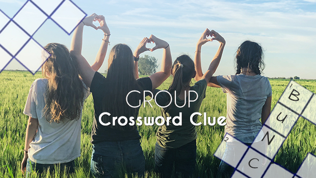 The different meanings for the word "group"